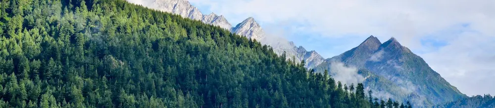 Forested mountain ridge with rocky peaks in the background.