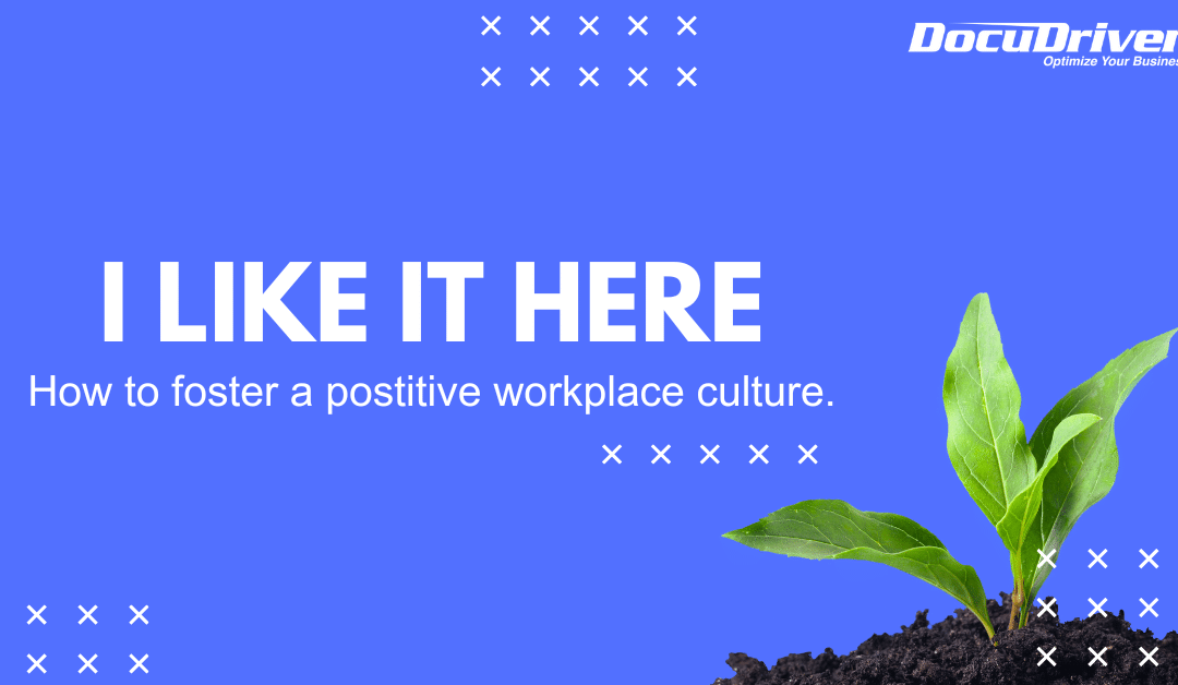 I Like It Here – How to Foster a Positive Workplace Culture